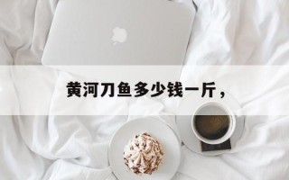 黄河刀鱼多少钱一斤，