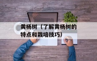 黄杨树（了解黄杨树的特点和栽培技巧）