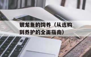 银龙鱼的饲养（从选购到养护的全面指南）