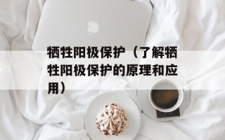 牺牲阳极保护（了解牺牲阳极保护的原理和应用）