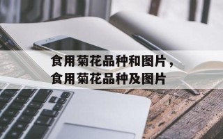 食用菊花品种和图片，食用菊花品种及图片