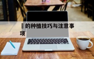 莙的种植技巧与注意事项