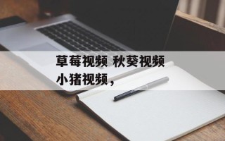 草莓视频 秋葵视频 小猪视频，