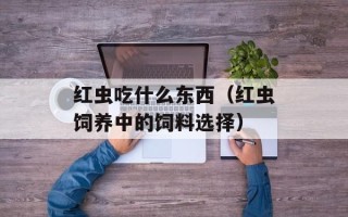 红虫吃什么东西（红虫饲养中的饲料选择）