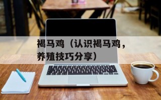 褐马鸡（认识褐马鸡，养殖技巧分享）