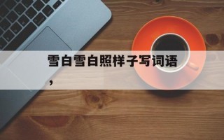 雪白雪白照样子写词语，