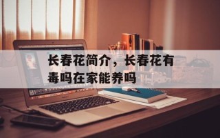 长春花简介，长春花有毒吗在家能养吗