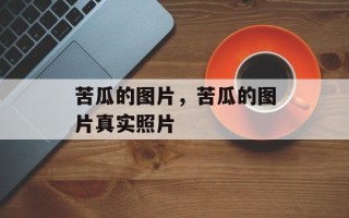 苦瓜的图片，苦瓜的图片真实照片