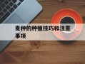 麦种的种植技巧和注意事项