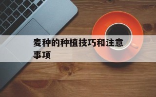 麦种的种植技巧和注意事项
