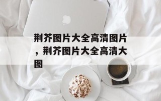 荆芥图片大全高清图片，荆芥图片大全高清大图
