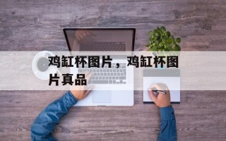 鸡缸杯图片，鸡缸杯图片真品