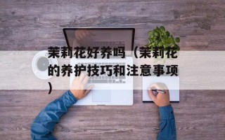 茉莉花好养吗（茉莉花的养护技巧和注意事项）