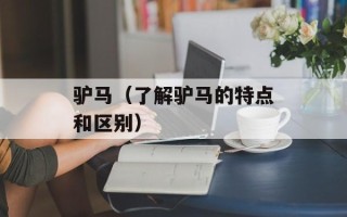 驴马（了解驴马的特点和区别）