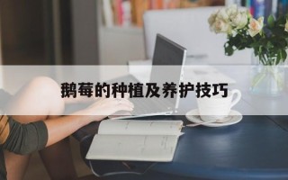 鹅莓的种植及养护技巧