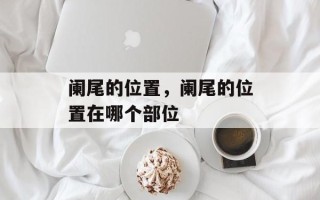 阑尾的位置，阑尾的位置在哪个部位