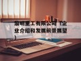黎明重工有限公司（企业介绍和发展前景展望）
