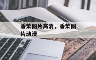 香菜图片高清，香菜图片动漫