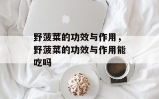 野菠菜的功效与作用，野菠菜的功效与作用能吃吗