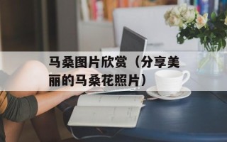 马桑图片欣赏（分享美丽的马桑花照片）