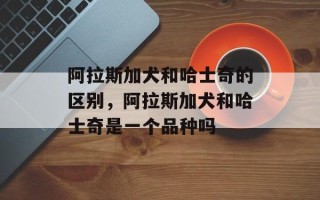阿拉斯加犬和哈士奇的区别，阿拉斯加犬和哈士奇是一个品种吗