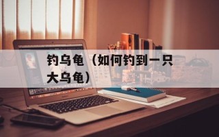 钓乌龟（如何钓到一只大乌龟）