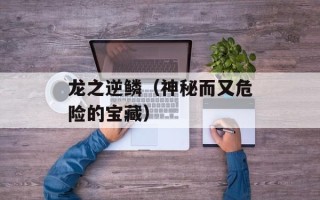 龙之逆鳞（神秘而又危险的宝藏）