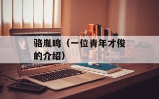 骆胤鸣（一位青年才俊的介绍）