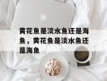 黄花鱼是淡水鱼还是海鱼，黄花鱼是淡水鱼还是海鱼