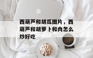 西葫芦和胡瓜图片，西葫芦和胡萝卜和肉怎么炒好吃