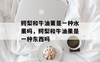 鳄梨和牛油果是一种水果吗，鳄梨和牛油果是一种东西吗
