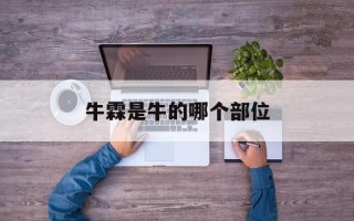 牛霖是牛的哪个部位