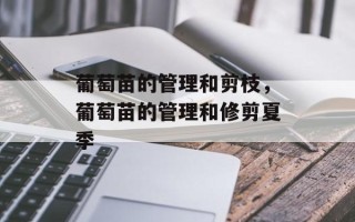 葡萄苗的管理和剪枝，葡萄苗的管理和修剪夏季