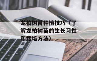 龙柏树苗种植技巧（了解龙柏树苗的生长习性和栽培方法）