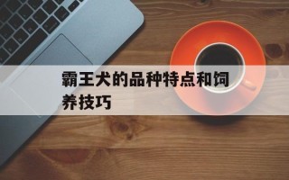 霸王犬的品种特点和饲养技巧