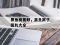 黑鱼窝视频，黑鱼窝子图片大全