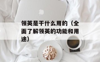 领英是干什么用的（全面了解领英的功能和用途）