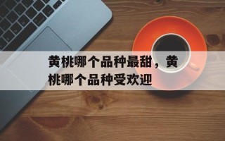 黄桃哪个品种最甜，黄桃哪个品种受欢迎