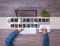 黑鳍（详细介绍黑鳍的特征和生活习性）