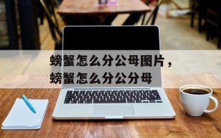 螃蟹怎么分公母图片，螃蟹怎么分公分母
