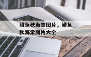 鳟鱼秋海棠图片，鳟鱼秋海棠图片大全