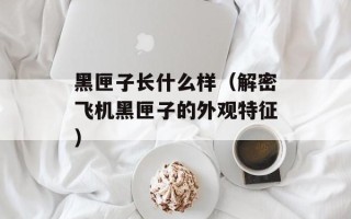 黑匣子长什么样（解密飞机黑匣子的外观特征）