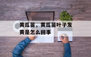 黄瓜苗，黄瓜苗叶子发黄是怎么回事