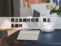 黑立鱼图片欣赏，黑立鱼图片