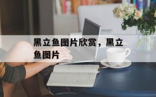 黑立鱼图片欣赏，黑立鱼图片