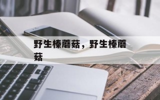 野生榛蘑菇，野生榛蘑菇