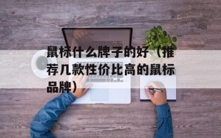 鼠标什么牌子的好（推荐几款性价比高的鼠标品牌）