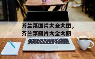 芥兰菜图片大全大图，芥兰菜图片大全大图