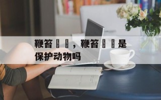 鞭笞鵎鵼，鞭笞鵎鵼是保护动物吗