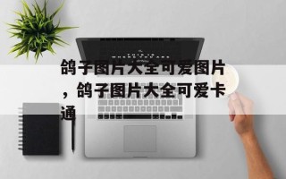 鸽子图片大全可爱图片，鸽子图片大全可爱卡通